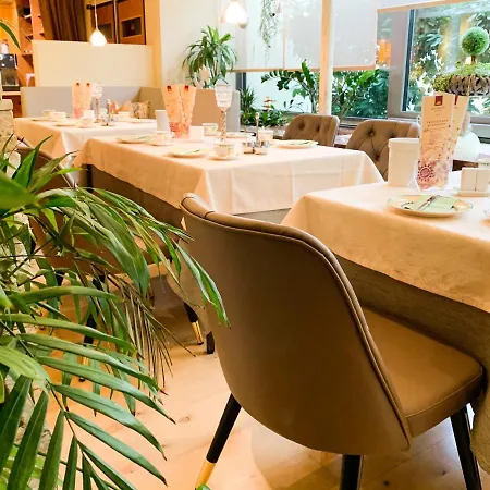 시티 오스트 암 쾨