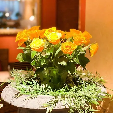 시티 오스트 암 쾨